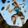 Lara Croft and the Torch of Rao